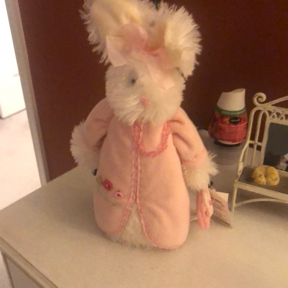 NWT bunny with tags. Ears are adjustable.